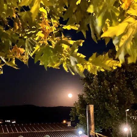 Comfortable Duplex With Stunning Ida Mountain View * Ayvacik (Canakkale)